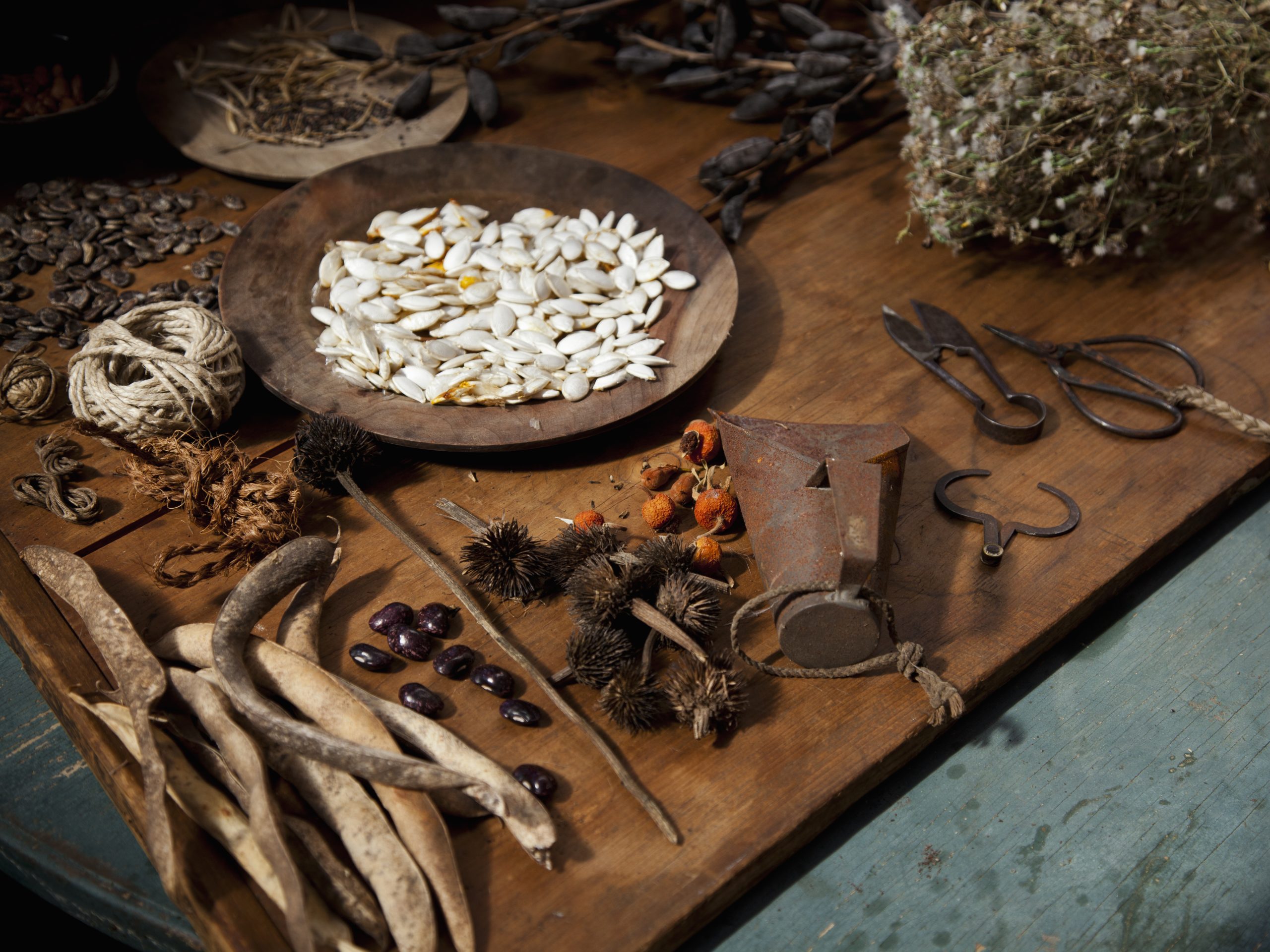 Collecting and storing the fruits of the garden for winter, dried seeds, herbs, nuts and vegetables. Seeds for the garden.